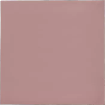 Thermal Grizzly Minus Pad 8 - 100 x 100 x 1,0 mm, 2 stuks