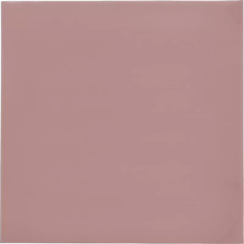 Thermal Grizzly Minus Pad 8 - 100 x 100 x 1,0 mm, 2 stuks