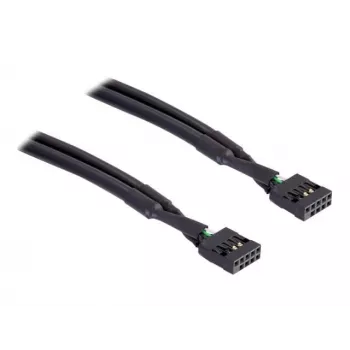 Interne USB-kabel DeLOCK 82437 0,5 m 10-pin female