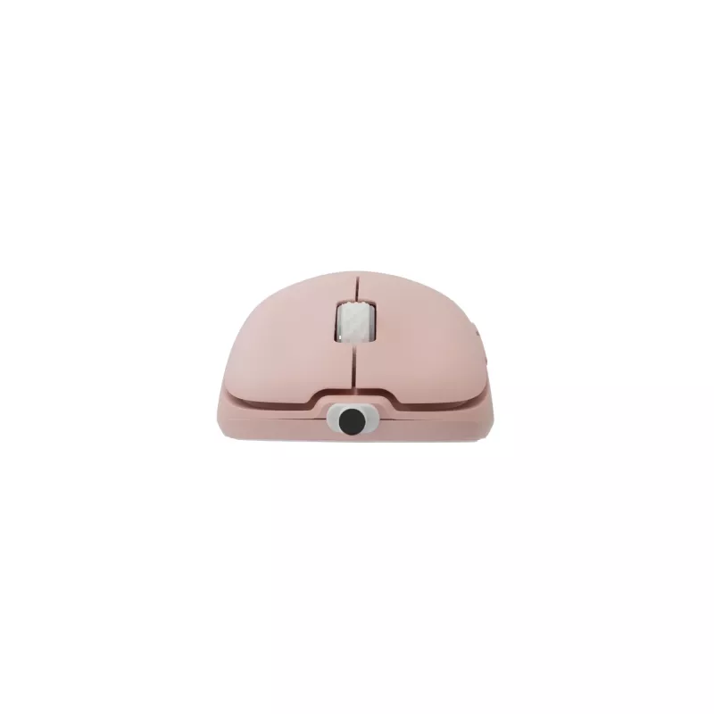 Muis White Shark GM-5014 Graphene Pink USB