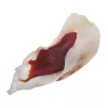 PETITTO Konijnenoor gevuld met eend hondensnack, 500 g