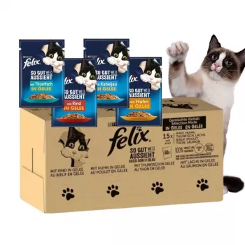 Purina Felix MIX natvoer voor katten, 120 x 85 g