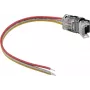 LED-strip stroomconnector EUROLITE 50530066, 3-polig, voor 10 mm LED-strip