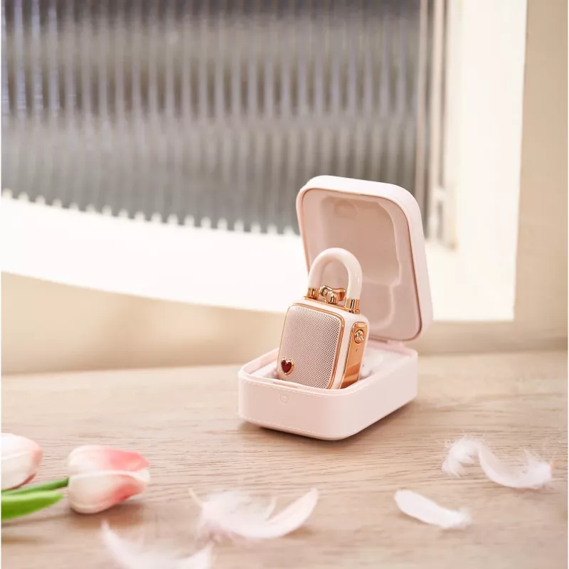 Draagbare mono-luidspreker Divoom LoveLock roze