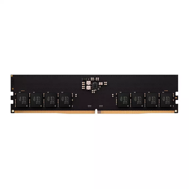 Team Group Team Elite - DDR5 - module - 32 GB - DIMM 288-pins