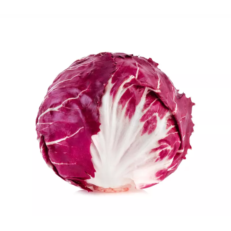 Lettuce Chicory Palla Rossa 3 Toraf groentezaden, 5g-pakket