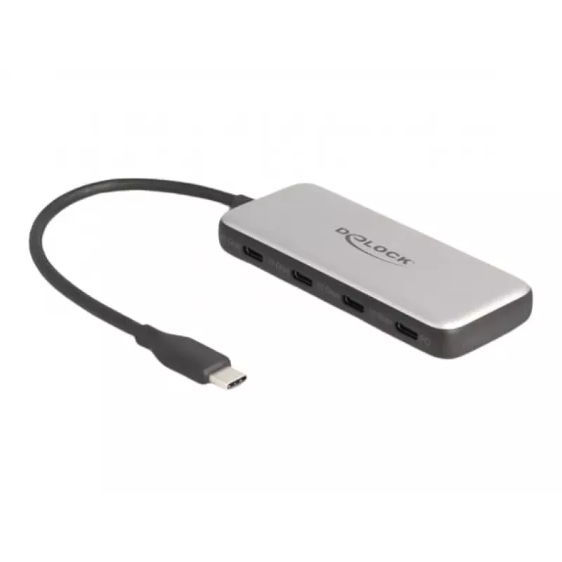DeLOCK 64261 USB 3.2 Gen 1 Type-C hub 10000 Mbit/s zwart grijs