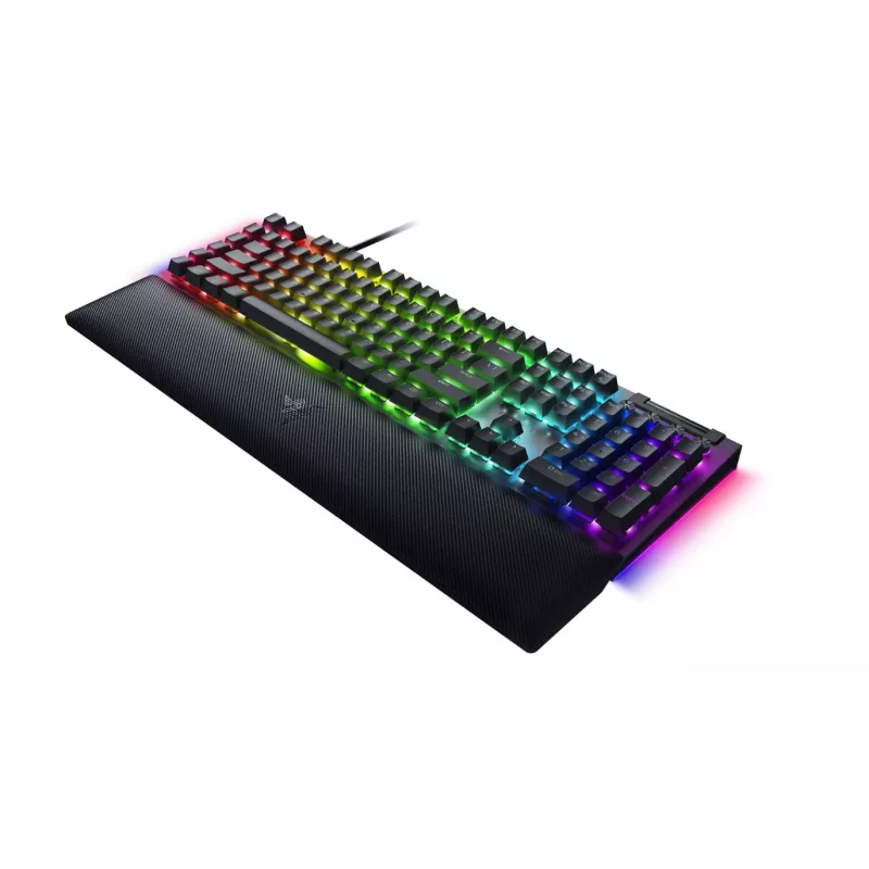 Razer RZ03-04692500-R3R1 zwart