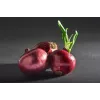 Onion Karmen Toraf groentezaden, 3g-pakket