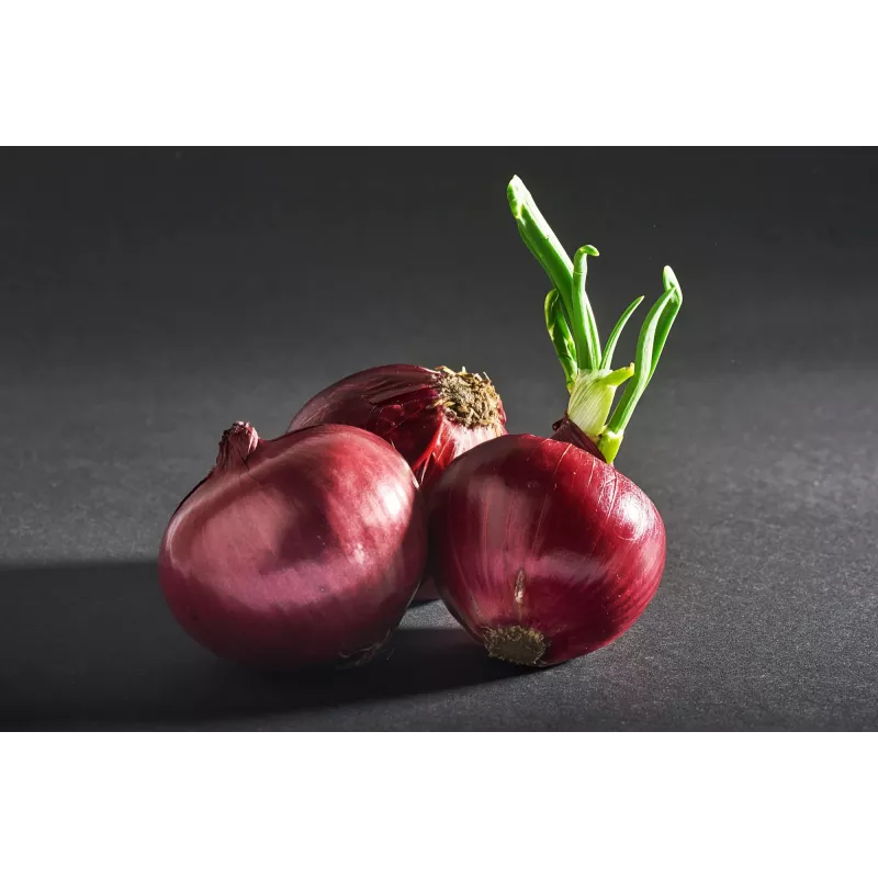 Onion Karmen Toraf groentezaden, 3g-pakket