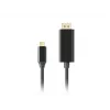 LANBERG CA-CMDP-10CU-0030-BK videokabel-adapter, 3 m, USB Type-C naar DisplayPort, 4K@60Hz/144Hz ondersteuning