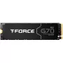 Team Group T-FORCE G70 Pro 2 TB PCIe 4.0 x4 | M.2 2280 | grafeen-koellichaam