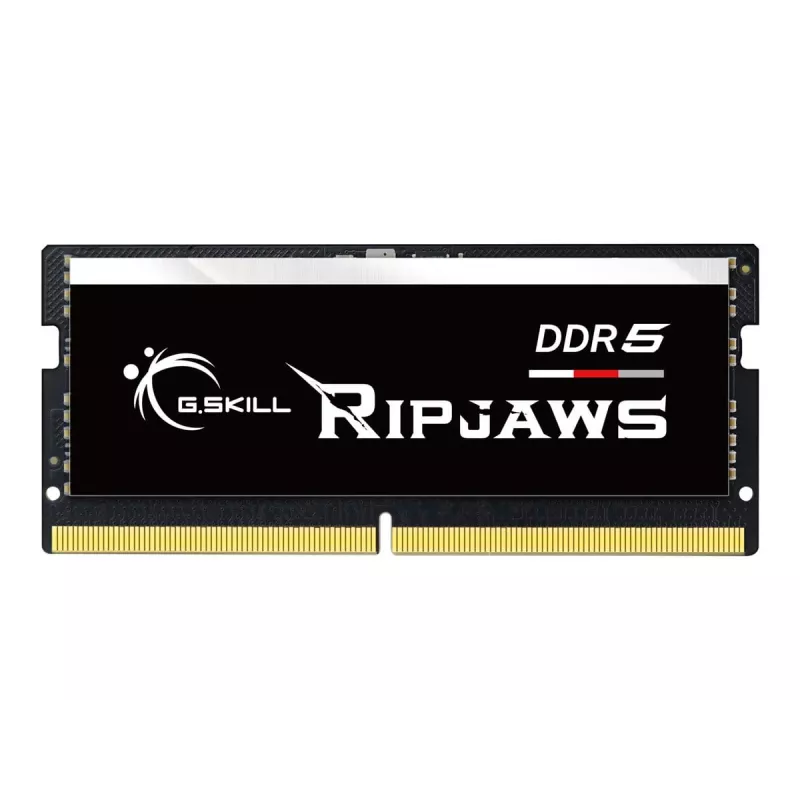 G.Skill Ripjaws F5-4800S4039A16GX1-RS geheugenmodule 16 GB 1 x 16 GB DDR5 4800 MHz