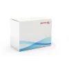 Xerox Transfer Roller, WorkCentre 7525/7530/7535/7545/7556, 1 stuks