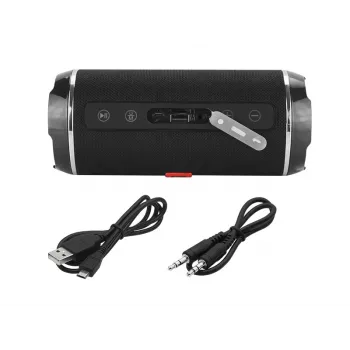 BLOW BT460 stereo draagbare luidspreker zwart, zilver 10 W