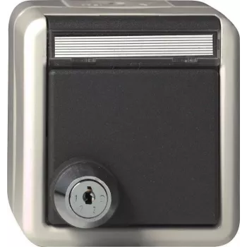 gira Schuko-stopcontact met slot, Model 456730 (KD) – afsluitbaar, inbouw-compatibel, grijs
