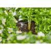 Gardena 13312-20 product 2 L zwart