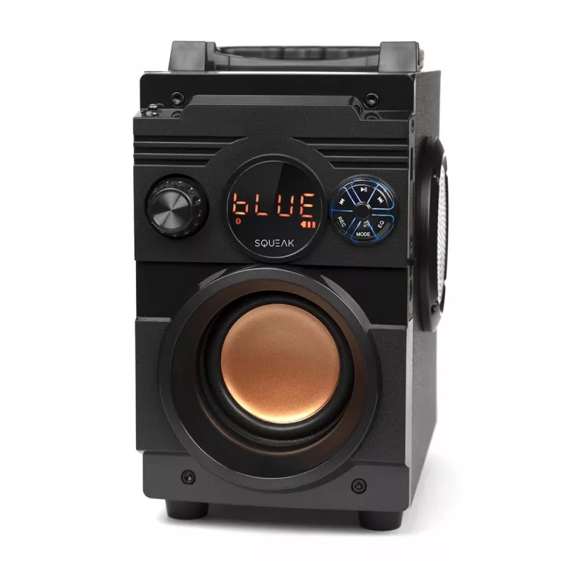 Squeak Bassblaster Bluetooth 5.1 luidspreker, FM-radio, MP3-speler SQ1001