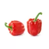 PNOS zaadmengsel zoete paprika, 0,6 g