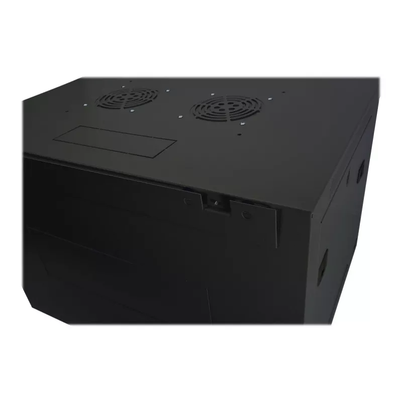 DIGITUS Dynamic Basic DN-19 16-U-EC-SW - kast - netwerkkast - geschikt voor wandmontage - RAL 9005 - 16U - 48,3 cm (19 inch)