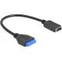 DeLOCK USB-kabel pinheader-bus naar interne USB Type-E Key A 25 cm