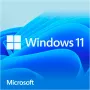 Windows 11 Home, besturingssysteemsoftware 64-bit, Duits, USB-flashstation