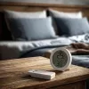 GreenBlue draadloos weerstation, IN/OUT temperatuur, klok, °C/°F selecteerbaar, bereik tot 60 m, GB162