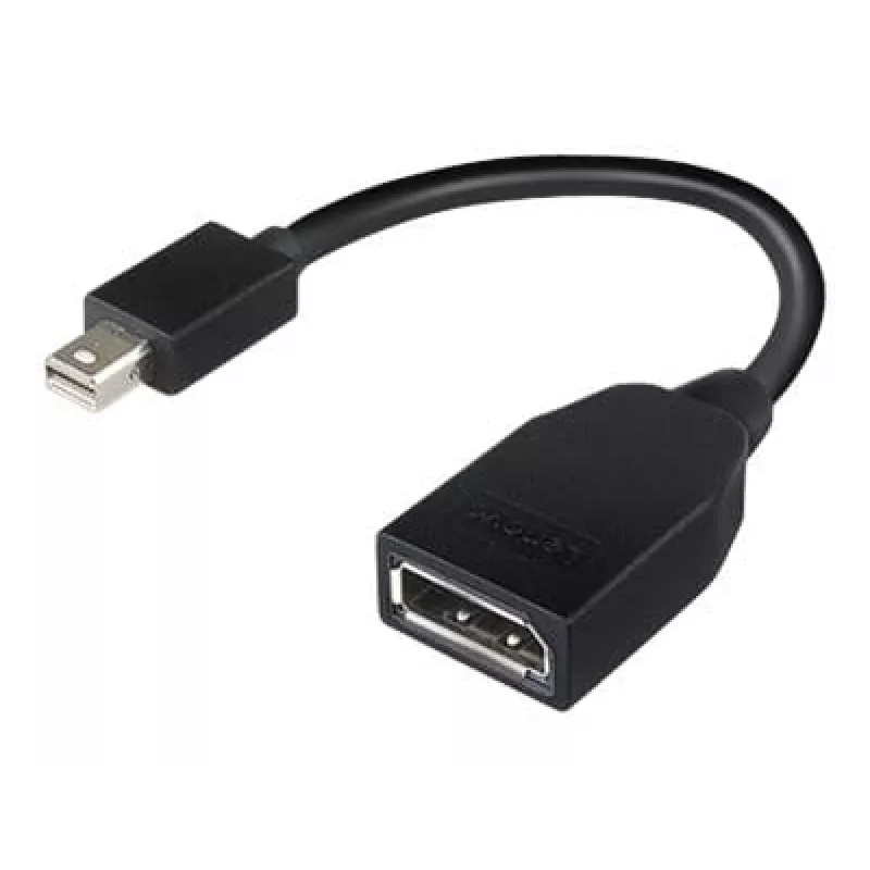 Lenovo 4X90L13971 DisplayPort-kabel Mini DisplayPort zwart