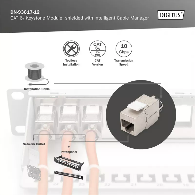Digitus Cat.6A afgeschermde Keystone-module met intelligente kabelmanager, 12 stuks, zilver