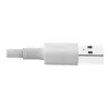 Eaton Tripp Lite Series USB-A naar Lightning sync-/laadkabel (M/M) - MFi-gecertificeerd, wit, 3 ft. (0.9 m) - data-/stroomkabel - USB mannelijk naar Lightnin