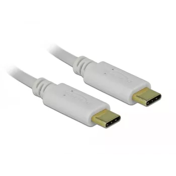 Delock - USB-C-/stroomkabel - 24-pins USB-C-stekker naar 24-pins USB-C-stekker - 5 A - 15 cm - USB-voeding (100 W), ondersteunt Power Delivery 2.0 - wit (85357)