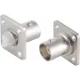 Video/audio-adapter BNC ShiverPeaks 98808-1 flensmontage