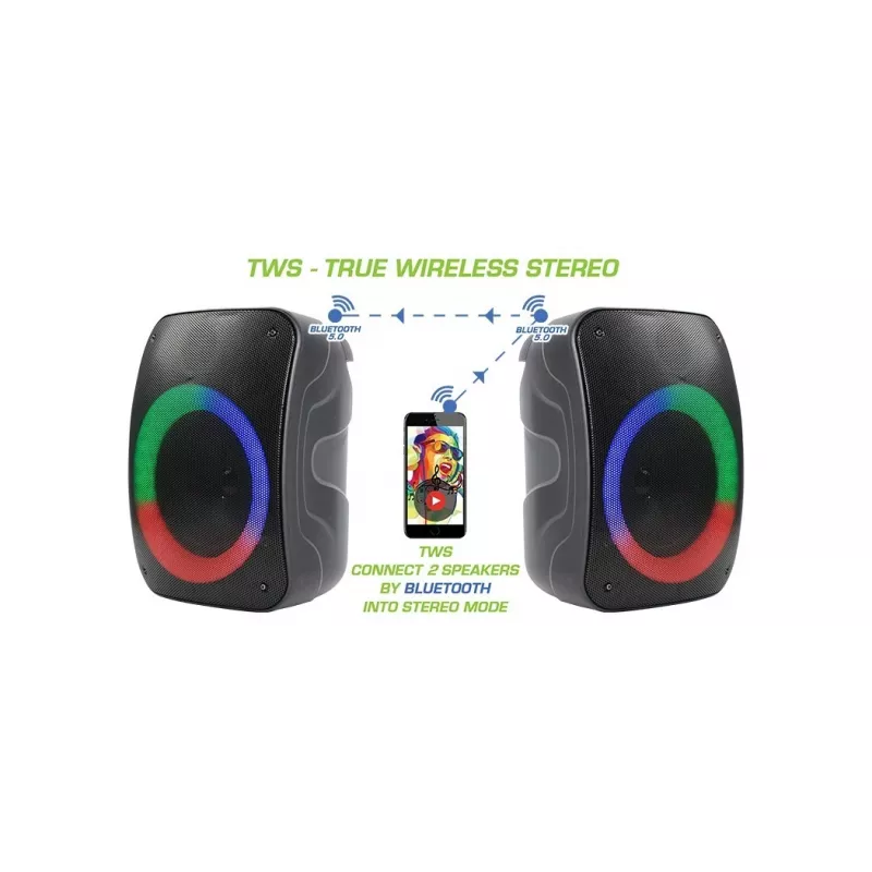 Bluetooth-speaker Rebelt ec STAGE 300