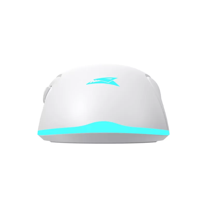 Muis Baracuda BGM-122 Turtle wit TURTLE-W