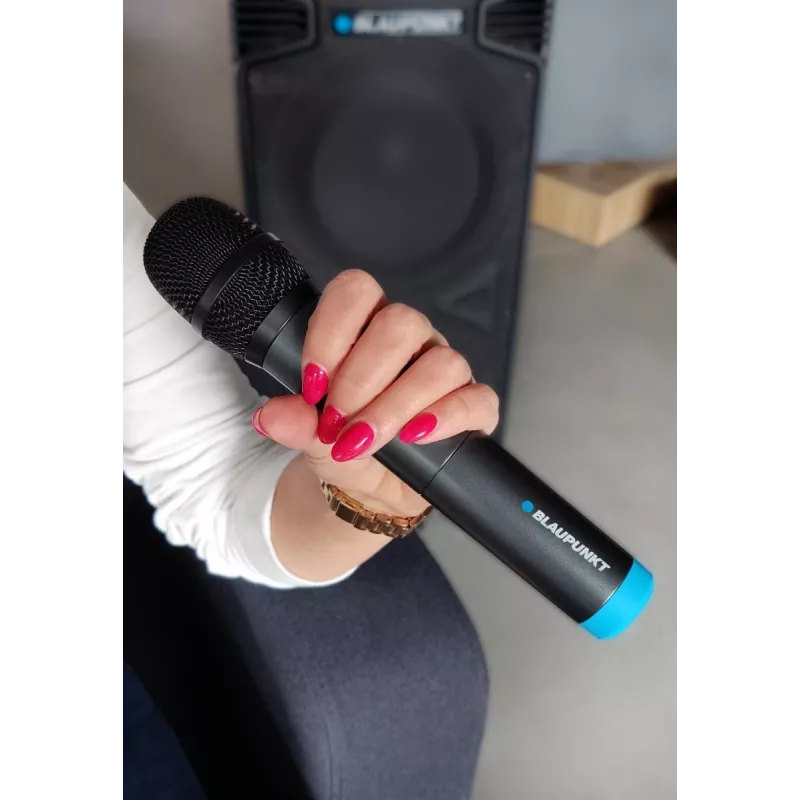 Microfoon Blaupunkt WM60UDB