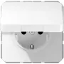 JUNG CD 1520 BF KI KL WW SCHUKO-stopcontact met klapdeksel, 16 A 250 V, alpinewit