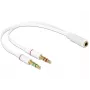 Audiokabel DeLOCK 65585 0,2 m 2 x 3,5 mm stekker op 3,5 mm bus wit