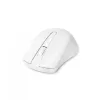 Muis DICOTA D31659W RF draadloos USB Type-C