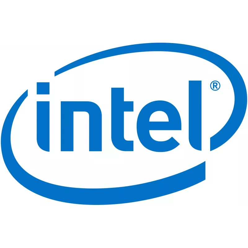 Intel Remote Management Module 4 Lite 2 - extern beheeradapter (AXXRMM4LITE2)