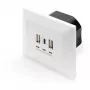 DIGITUS DA-70618 - USB-uitgang - USB, USB Type C - 2 USB-aansluitingen, 1 USB-C-bus - 3,1 A - RAL 9003, signaalwit