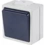 as - Schwabe 62450 opbouwschakelaar IP54 grijs (62450)
