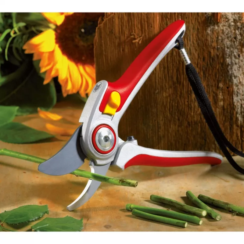Grasmaaier WOLF-Garten RR 5000 ALU-PROFESSIONAL