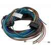 TOMTOM Webfleet I/O-kabel passthrough thermograaf - ColdChain, model 10834