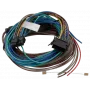 TOMTOM Webfleet I/O-kabel passthrough thermograaf - ColdChain, model 10834