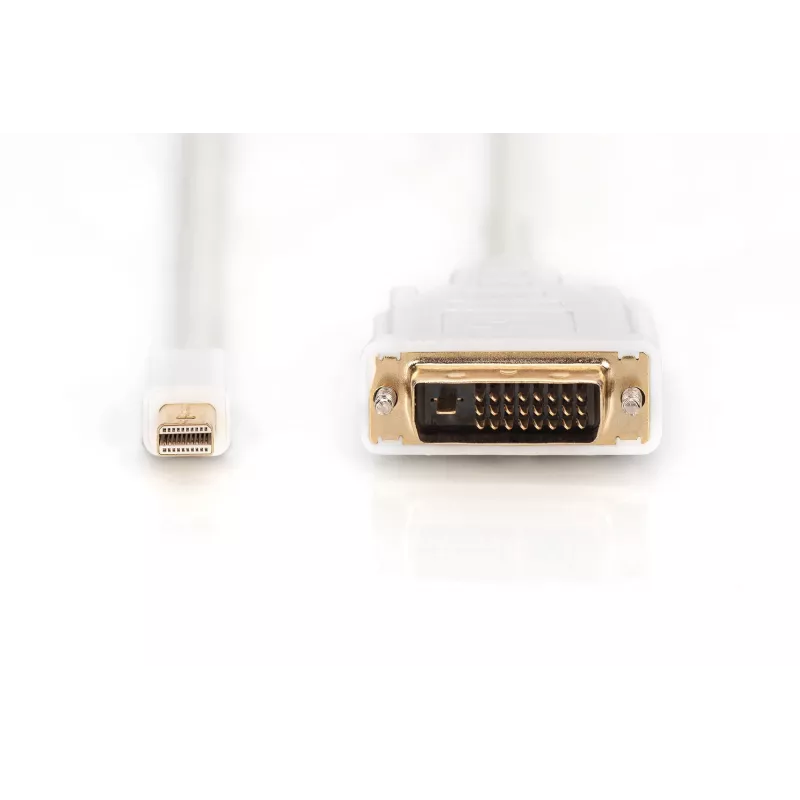Kabel DisplayPort 1.1a Mini DP-DVI type A MM 2,0 m