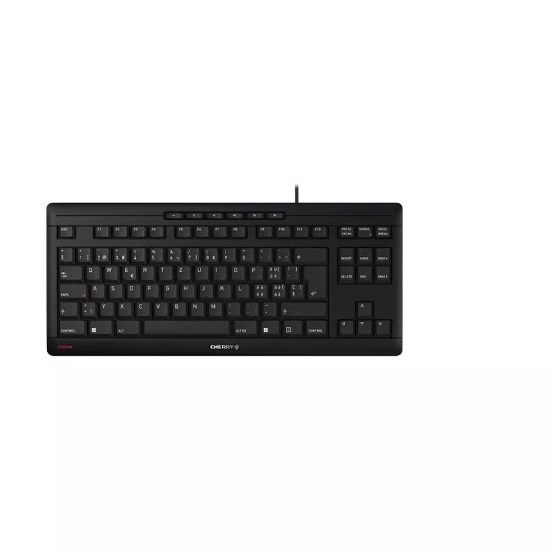 CHERRY STREAM TKL toetsenbord universeel USB QWERTZ Zwitsers zwart