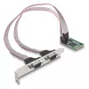 DeLOCK Mini PCIe-kaart Full-Size naar 2 x serieel RS-232 D-Sub 9-polig