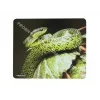 Natec NPP-0936 product wit