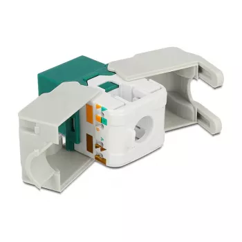 Keystone-module DeLOCK 86349