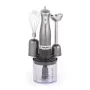 Salter EK2827GUNMETALFVDE Cosmos 3-in-1 blenderset